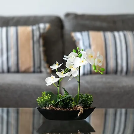 شقة Aura Modern 1br In And Free Parking ليماسول